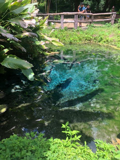 chiang-dao-cave-sticky-waterfall-baan-den-temple-private