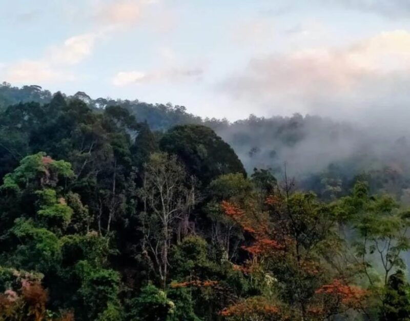 chiang-dao-trekking-hidden-village-adventure