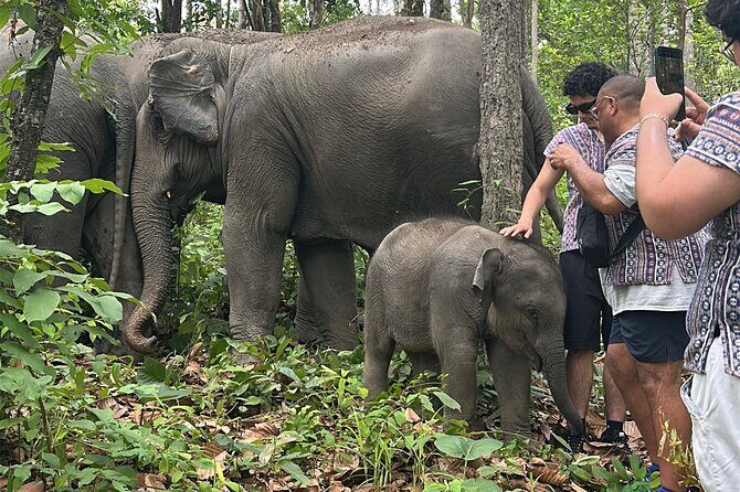 Chiang Mai 1 Day: Elephant Sanctuary, Waterfall & Bamboo Rafting - Key Points