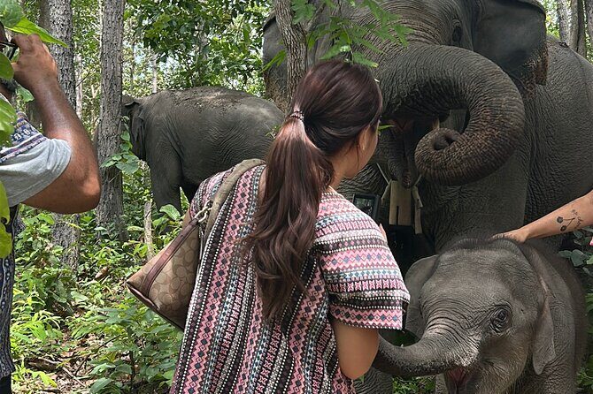 Chiang Mai 1 Day: Elephant Sanctuary, Waterfall & Bamboo Rafting - FAQ