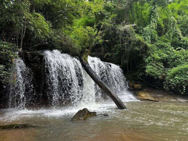 chiang-mai-1-day-jungle-trekking-in-the-doi-inthanon-area