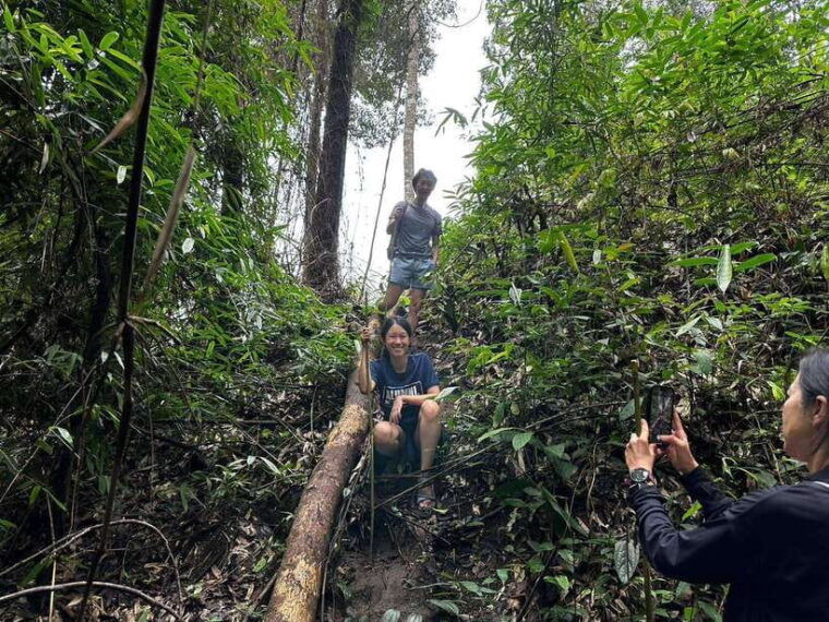 chiang-mai-1-day-jungle-trekking-in-the-doi-inthanon-area