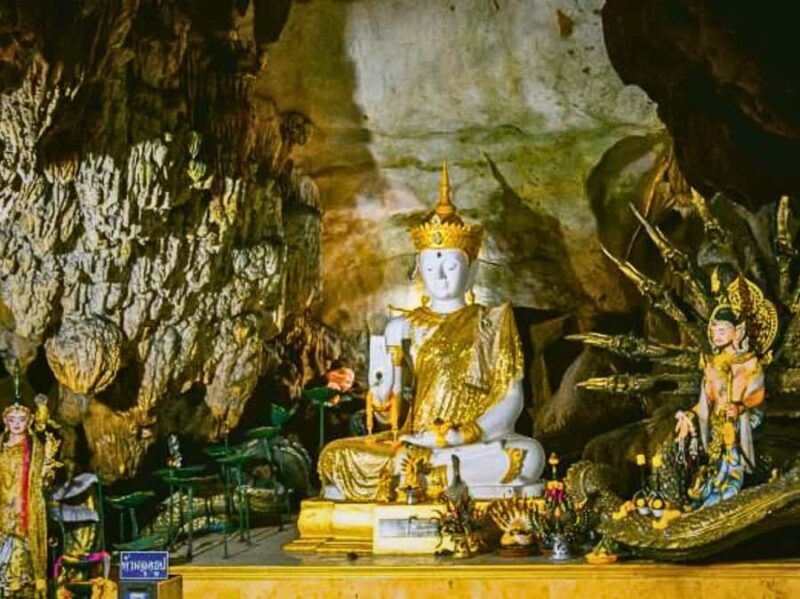 Chiang Mai : 1-Day Trip: Mae Tang & Chiang Dao Cave - Details That Matter