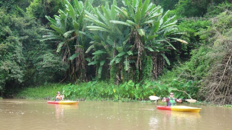 Chiang Mai: 15 km Leisure River Kayaking at Mae Ngat forest - Chiang Mai: 15 km Leisure River Kayaking at Mae Ngat Forest — A Complete Guide