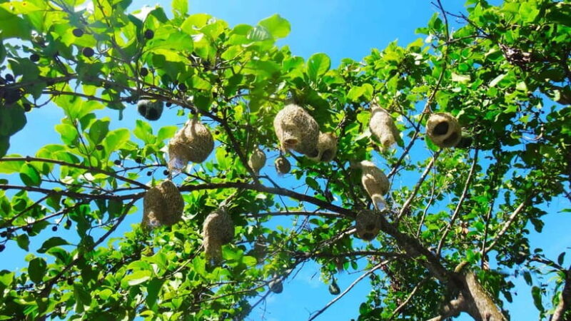 Chiang Mai: 15 km Leisure River Kayaking at Mae Ngat forest - Final Thoughts