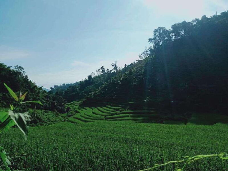 chiang-mai-1day-trekking-mae-jok-private