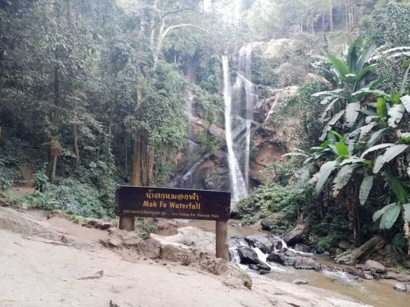 chiang-mai-1day-trekking-mae-jok-private