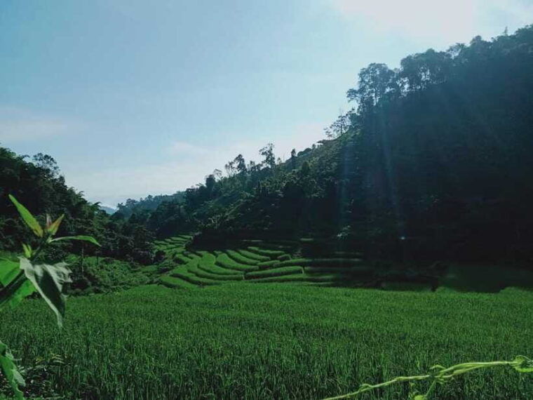 chiang-mai-1day-trekking-mae-jok-private