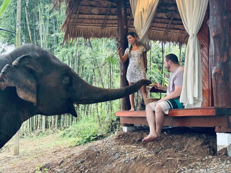 Chiang Mai 2-Day: Good Morning Elephant & Overnight Homestay - Practical Details & Tips