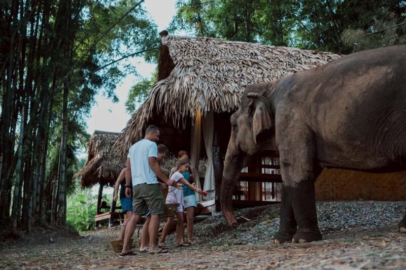 Chiang Mai 2-Day: Good Morning Elephant & Overnight Homestay - FAQ