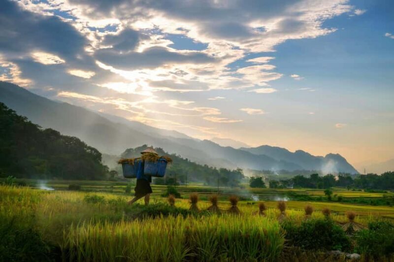 Chiang Mai: 2-Day Hidden Jungle Trek & Local Hill-Tribe Stay - The Itinerary: What to Expect