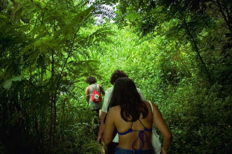 Chiang Mai: 2-Day Hidden Jungle Trek & Local Hill-Tribe Stay - What’s Special About This Trek?