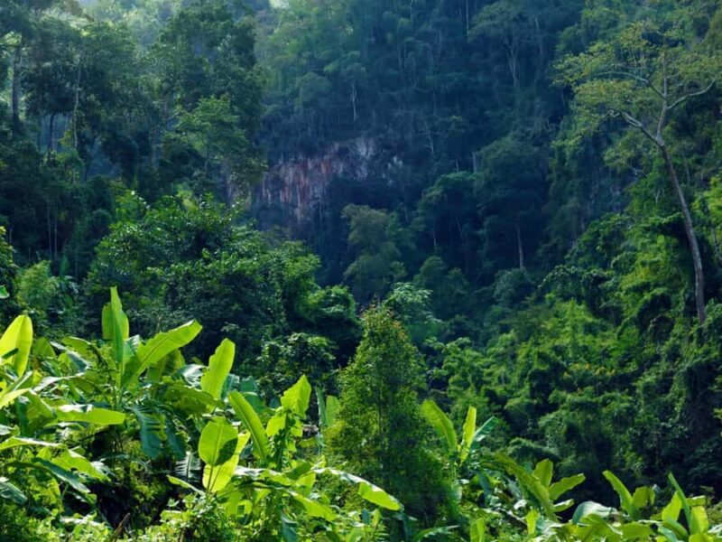 Chiang Mai: 2-Day Hidden Jungle Trek & Local Hill-Tribe Stay - FAQ