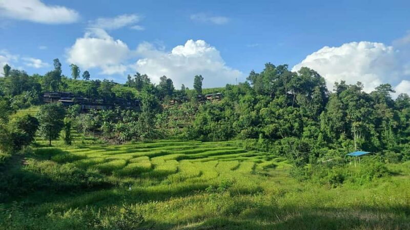 Chiang Mai: 2-Day Reforestation Adventure with Rafting - Why This Tour Works for Travelers