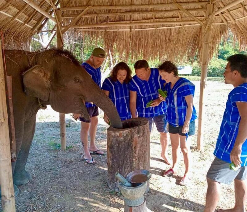 Chiang Mai: 2-Day Tour with Rafting, Elephants, and Waterfall - Practical Details and Tips