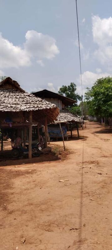 Chiang Mai: 2-Days Chiang Mai Hill tribe Trek - Key Points