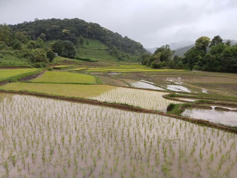 Chiang Mai: 2-Days Chiang Mai Hill tribe Trek - Who Would Love This Tour?