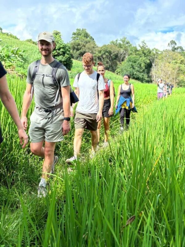 Chiang Mai: 2-Days Jungle Trek, Waterfalls and Karen Village - Why This Tour Is a Great Choice