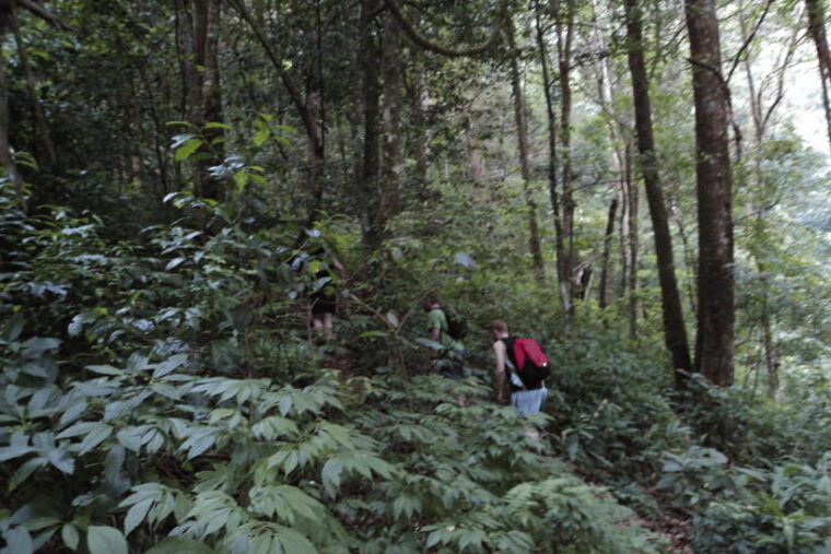 chiang-mai-2-days-trek-at-two-seasons-cliff