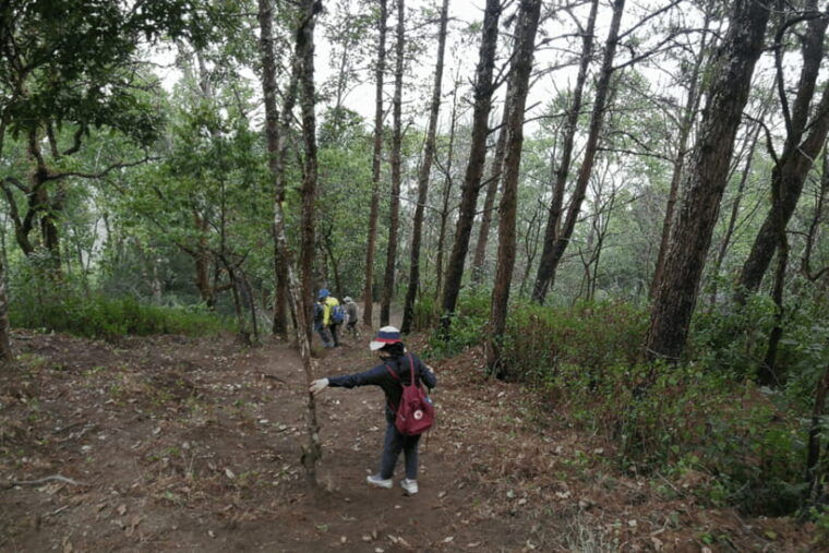 chiang-mai-2-days-trek-at-two-seasons-cliff