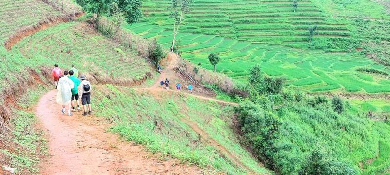 chiang-mai-2-days-trekking-elephant-care