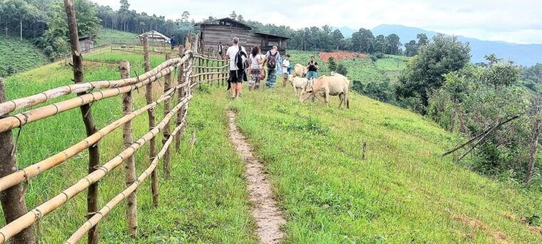 chiang-mai-2-days-trekking-elephant-care