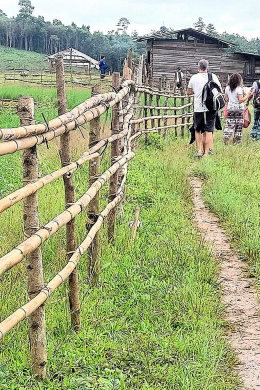 chiang-mai-2-days-trekking-elephant-care