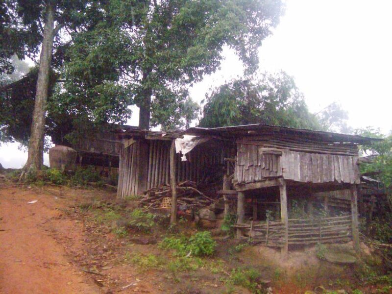 Chiang Mai: 20km Downhill Mountain Biking Challenge Suthep M - FAQ