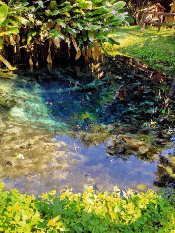 Chiang Mai: 22 km XC Mountain Biking from Sticky Waterfall - The Sum Up