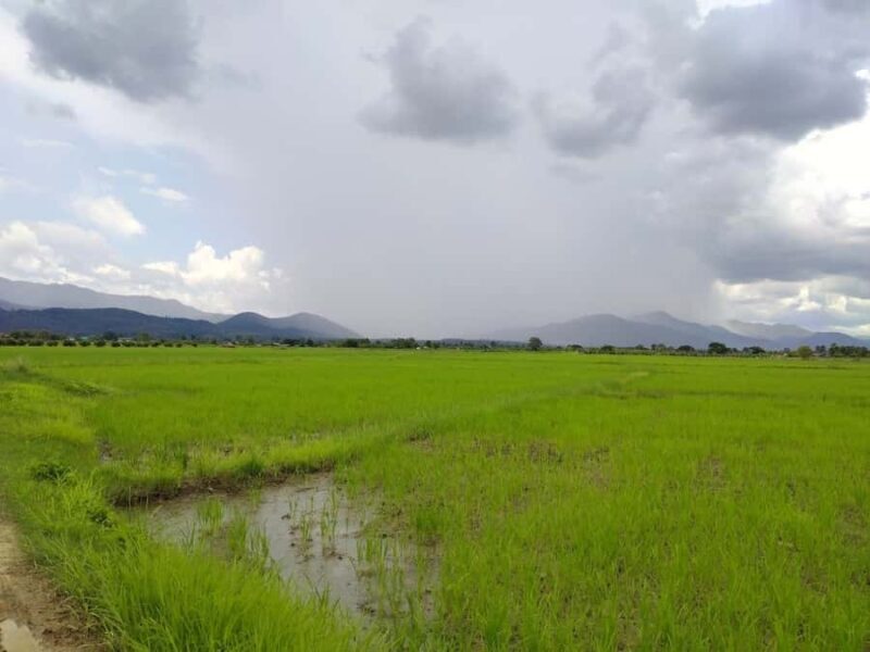 Chiang Mai: 25km Leisure Mountain Biking & Jungle Kayaking - FAQ