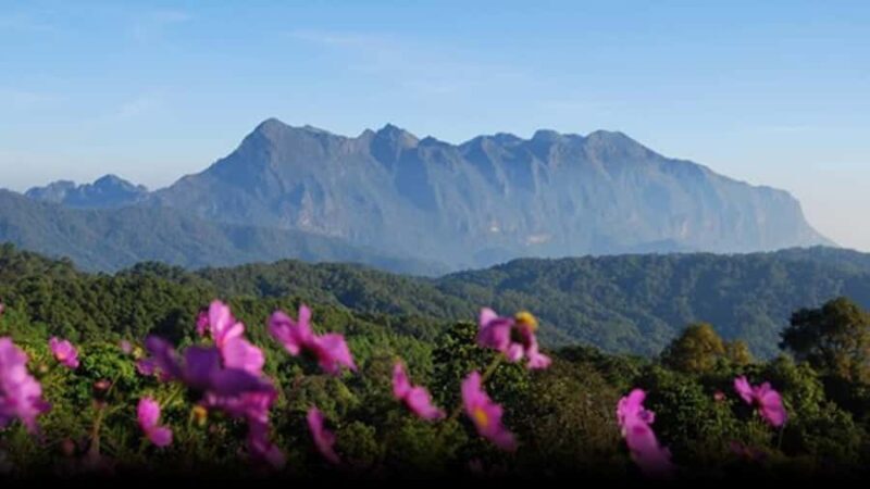 Chiang Mai: 3-Day Chiang Dao Mountains & Local Villages Tour - The Sum Up: Is This Tour Worth It?