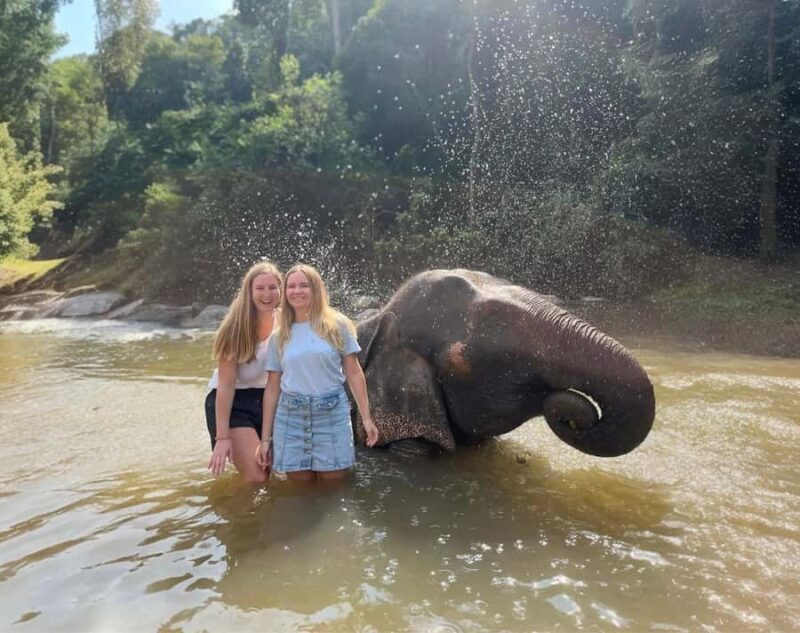 Chiang Mai: 3-Day Elephant Care, Jungle Trek, Bamboo Rafting - An In-Depth Look at the 3-Day Adventure in Chiang Mai