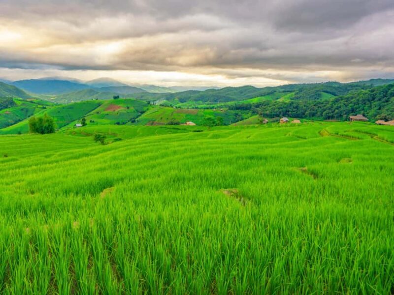 Chiang Mai: 3-Day Karen Hill Tribe Immersion with Trekking - Who Is This Tour Best For?