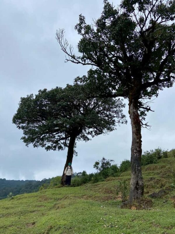 Chiang Mai: 3-Day Omkoi & Doi Na Kian Cultural Trek - FAQ