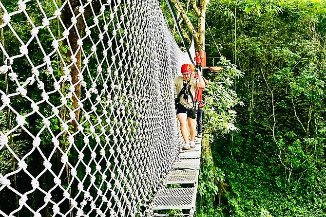Chiang Mai 3 in 1 Zipline, Elephants and Sticky Waterfall - Why the Tour Offers Excellent Value