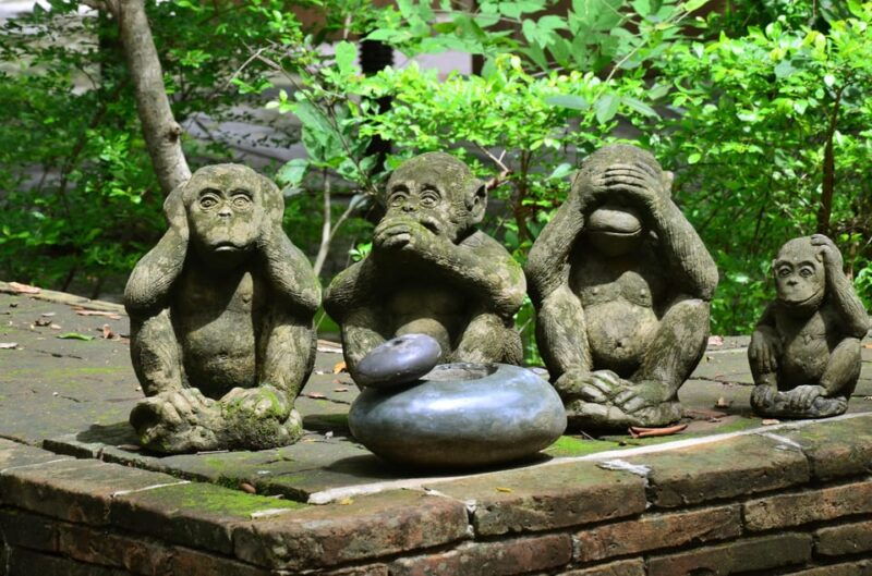 chiang-mai-4-hour-doi-suthep-wat-umong-wat-phalat-tour