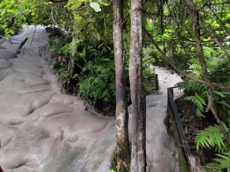 Chiang Mai: 4-Hour Sticky Waterfall Private Tour - Detailed Review: The Experience from a Traveler’s Perspective