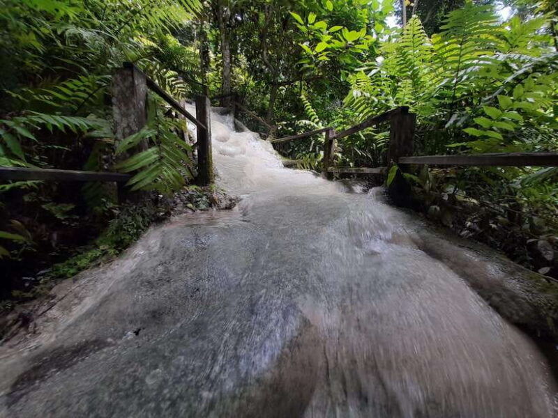 chiang-mai-4-hour-sticky-waterfall-private-tour