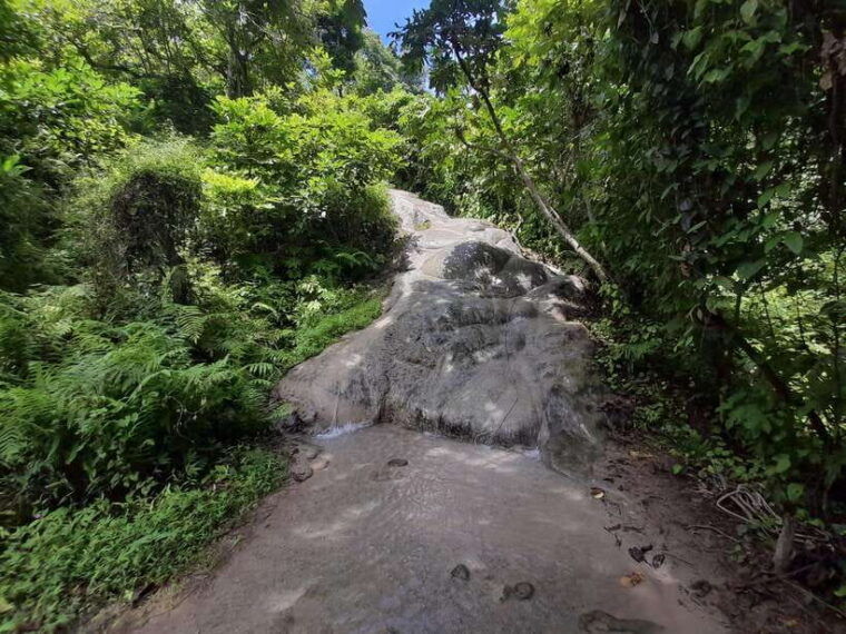 chiang-mai-4-hour-sticky-waterfall-private-tour