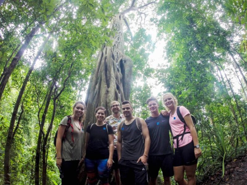 Chiang Mai: 7-Hour Doi Suthep National Park Summit Hiking - Key Points