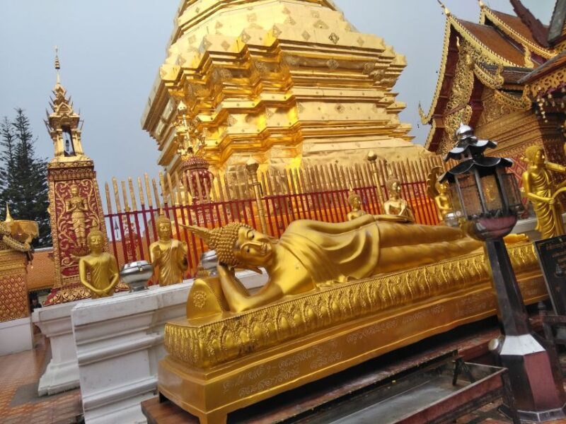 Chiang Mai: 7-Hour Doi Suthep National Park Summit Hiking - Final Thoughts