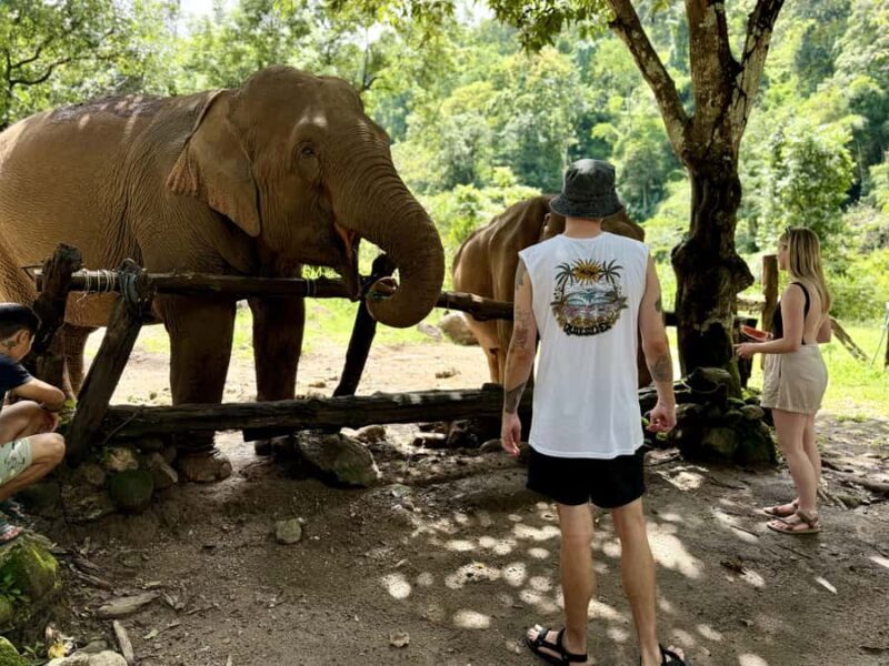 Chiang Mai Adventure: Trekking, Tubing & Waterfall - FAQ