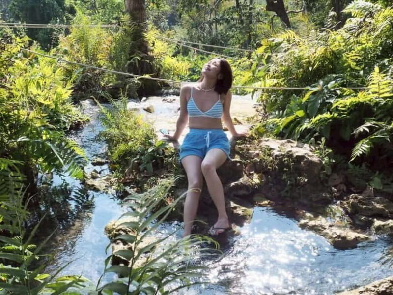 Chiang Mai: Afternoon Bua Tong Sticky Waterfall by Red Taxi - Introduction to the Bua Tong Waterfalls Experience