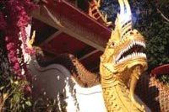 Chiang Mai Airport Arrival Private Transfer from Airport to Four Seasons Hotel - Introduction