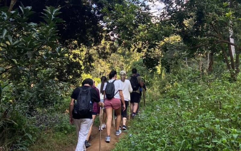 Chiang Mai: ATV Adventure, Jungle Hike & White Water Rafting - Authentic Experiences and Insights from Reviews