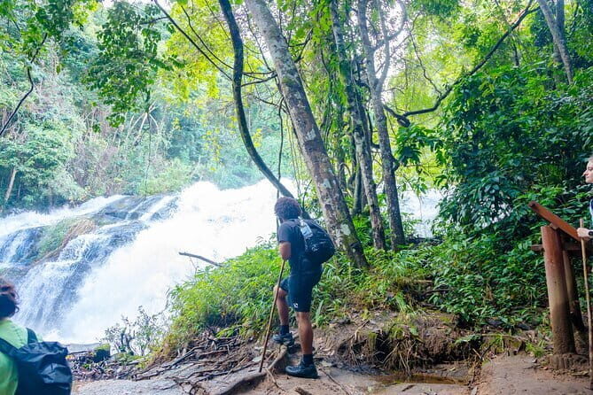 Chiang Mai ATV Tour, Doi Inthanon Trekking, and Elephant Watching - Why This Tour Stands Out