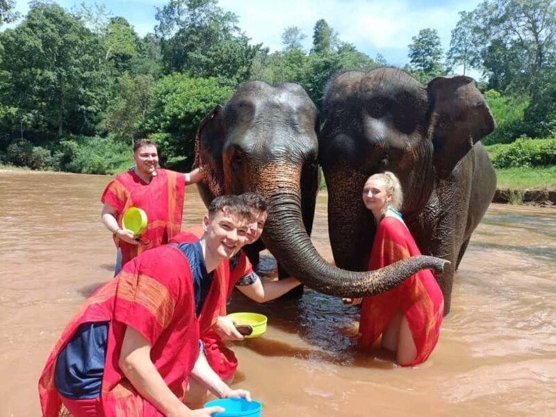 Chiang Mai : ATV Tour + Elephant Care - A Day in the Life: What to Expect from the Tour