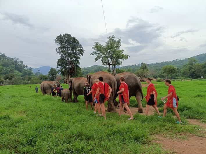 chiang-mai-atv-tour-elephant-care