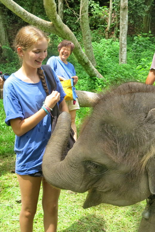 chiang-mai-atv-tour-elephant-care