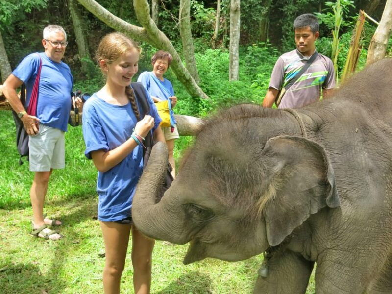 chiang-mai-atv-tour-elephant-care